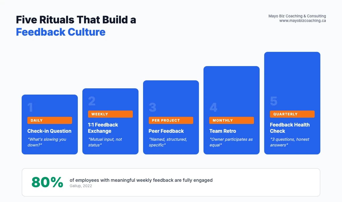 Five feedback rituals from daily check-ins to quarterly team assessments with ascending cadence