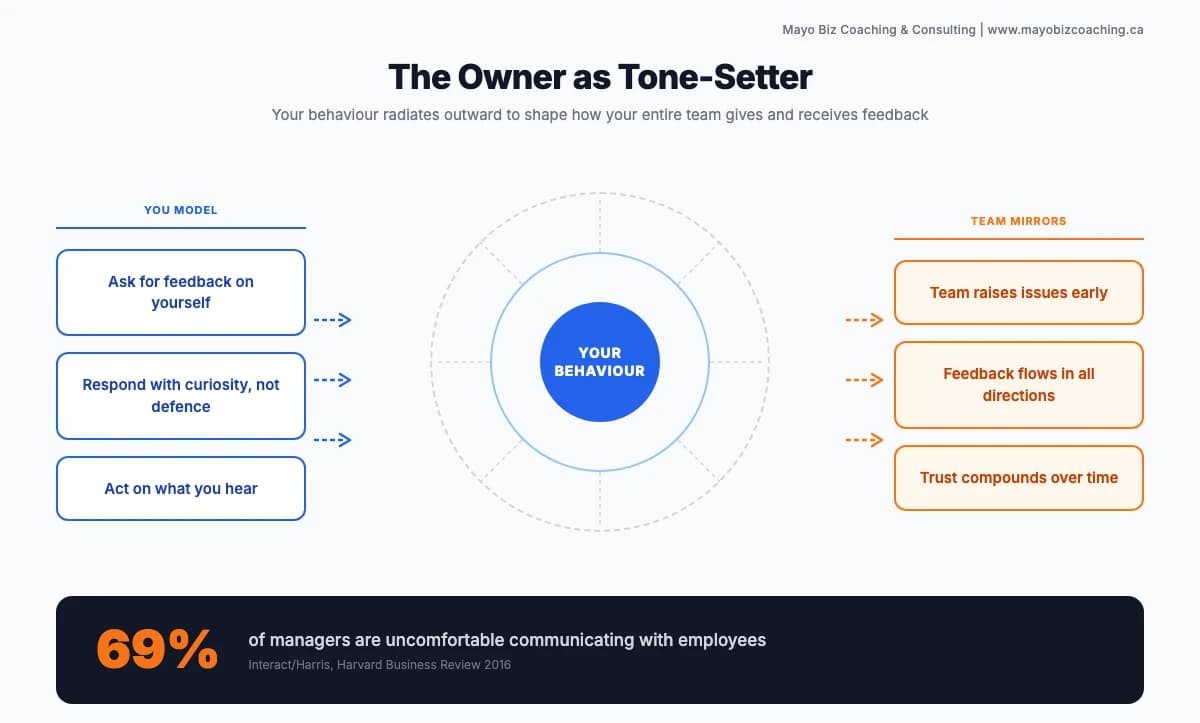 How owner behaviour shapes team feedback culture: modelling curiosity, acting on input, and building trust