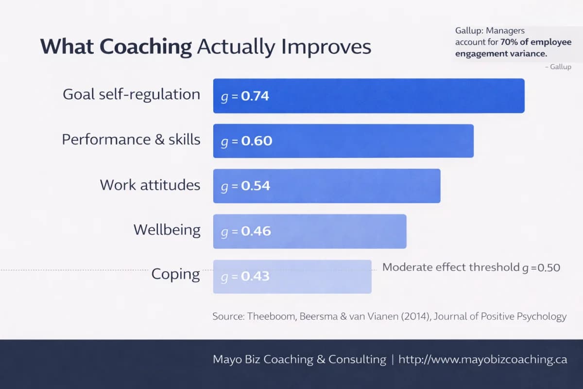 What coaching actually improves: bar chart showing effect sizes from meta-analysis, with goal self-regulation highest at 0.74 and coping at 0.43