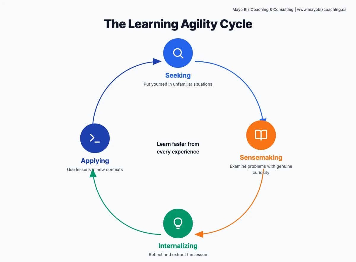 The four learning agility behaviours in a cycle: seeking new experiences, sensemaking through curiosity, internalizing through reflection, and applying lessons to new situations