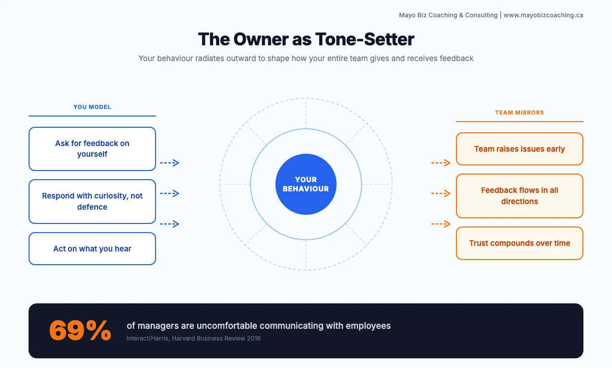 How owner behaviour shapes team feedback culture: modelling curiosity, acting on input, and building trust